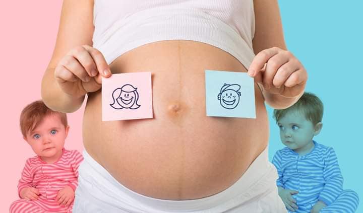Sexagem Fetal: tudo o que você precisa saber antes de fazer seu exame.