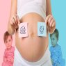 Sexagem Fetal: tudo o que você precisa saber antes de fazer seu exame.